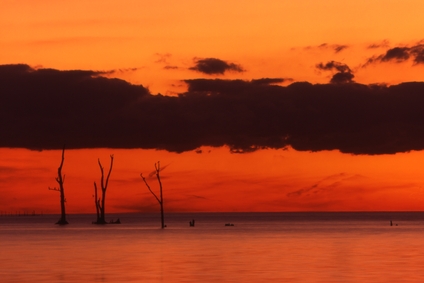 TC Pelee Island TC Pelee Island