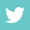 social twitter