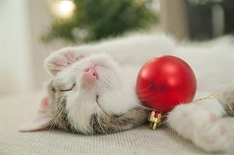 iStock-530405527