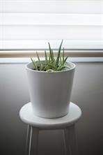 iStock-637281370