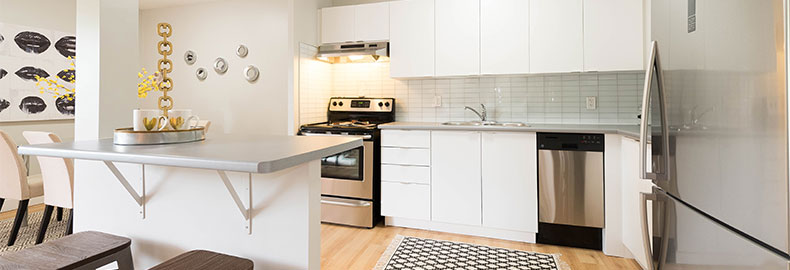 Interior shot of an apartment